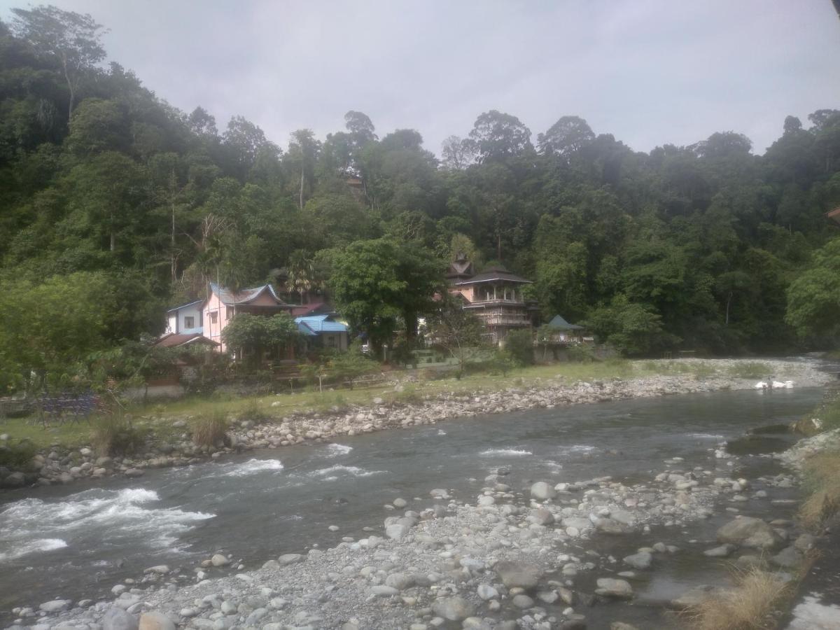 Hotel Umiyuki Jungle Tour Only Treking With As Bukit Lawang Exterior foto