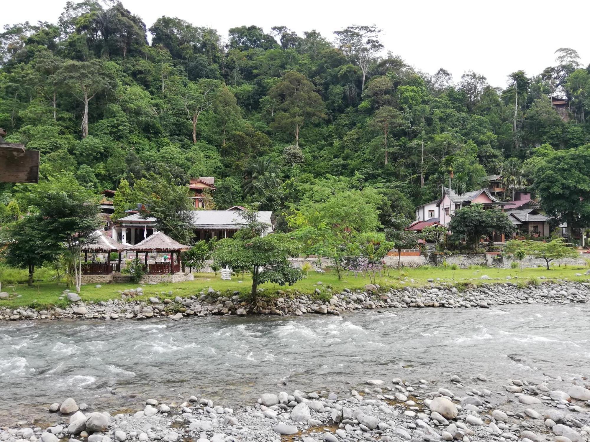 Hotel Umiyuki Jungle Tour Only Treking With As Bukit Lawang Exterior foto